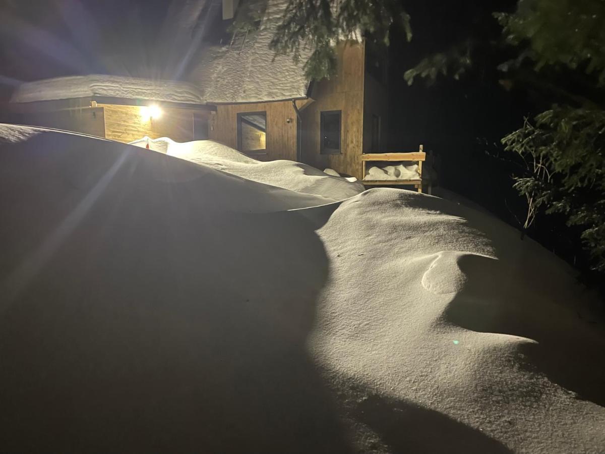 Chalet Fimili Vyšná Boca Zewnętrze zdjęcie